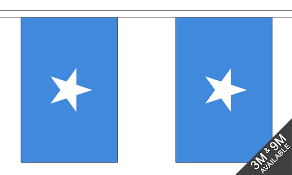Somalia Bunting
